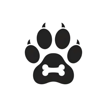 Apparel & Accessories