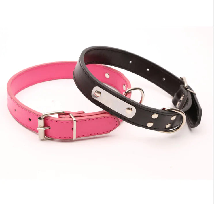 Personalized Collar