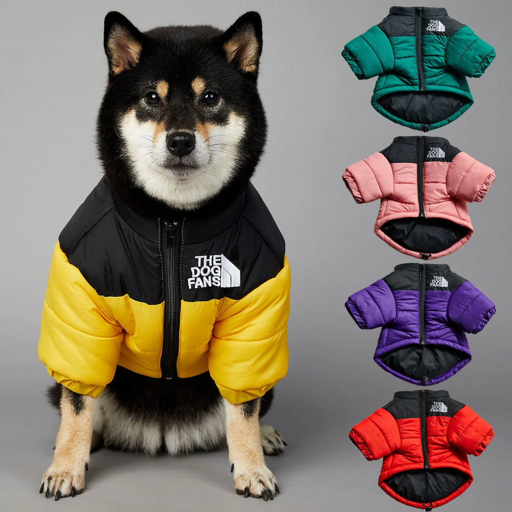 Dog Face winter Jacket