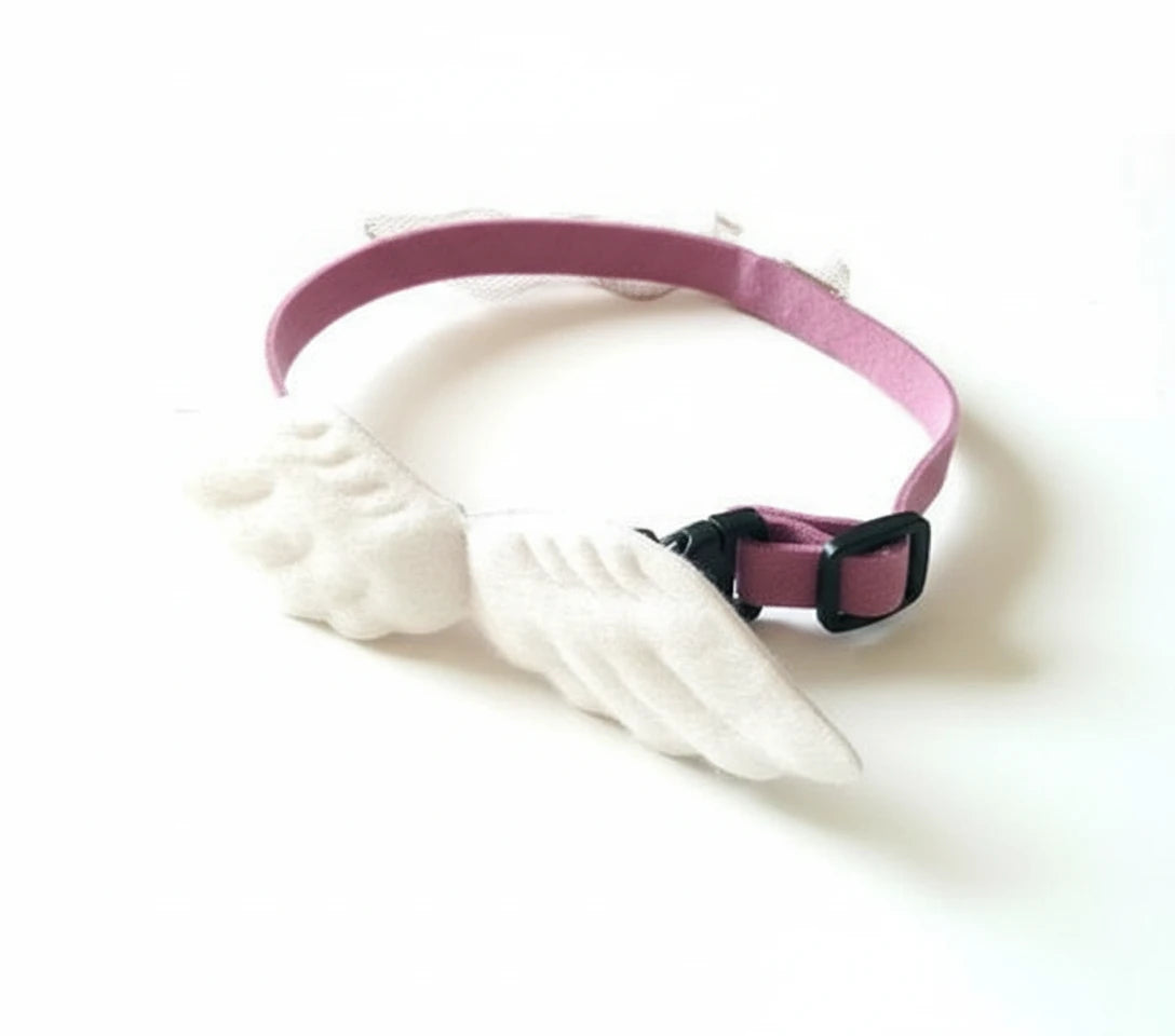 Angel Collars