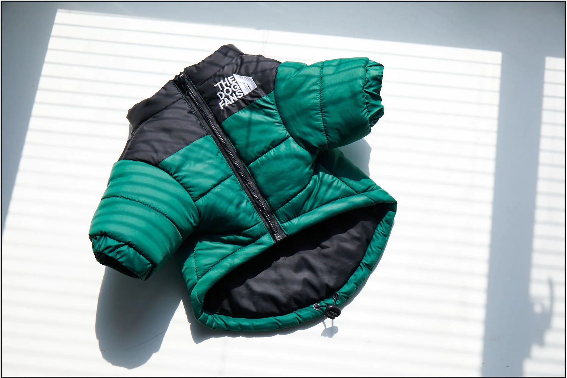 Dog Face winter Jacket