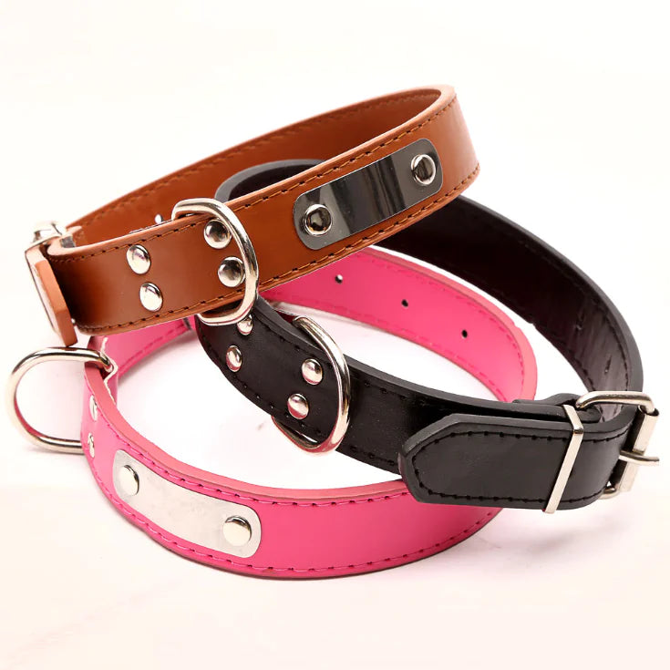 Personalized Collar